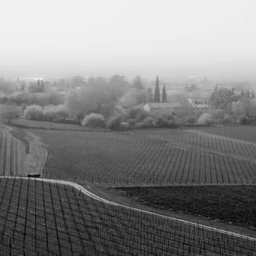 Landscapes